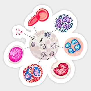 Blood cells. RBCs. WBCs, Basophil, Platelet, thrombocyte, Neutrophil, B-Lymphocyte, Monocyte, Eosinophil. Sticker